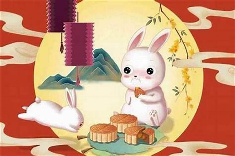 属猪的男人命好不好