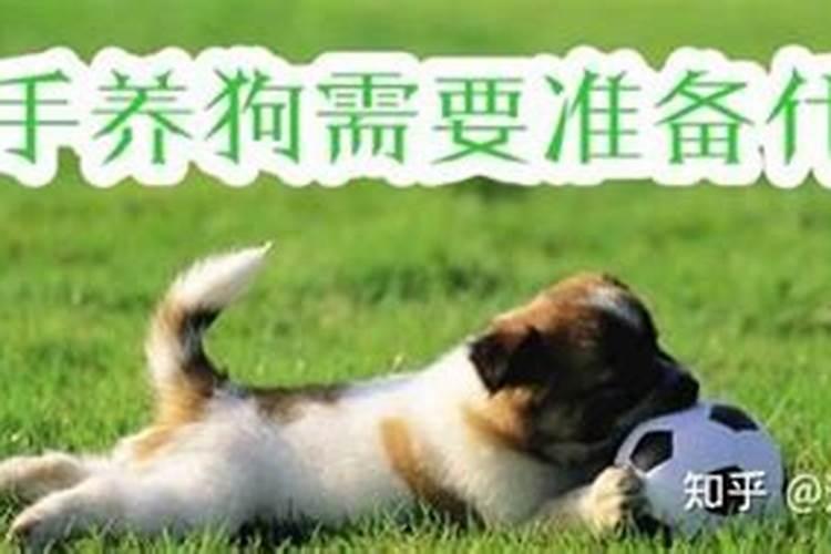 我的五行和生辰八字可以在家养鱼吗？养鱼好？还是狗好？