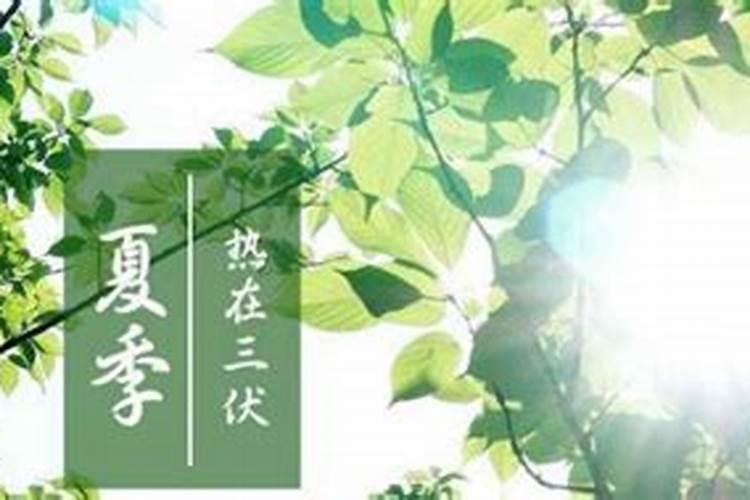 夏至三庚数头伏的含义