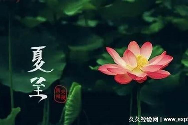 夏至三庚数头伏的含义