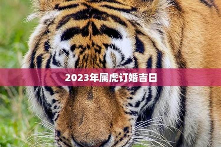 我是1971年正月17日戊时《正月17》运程怎么样