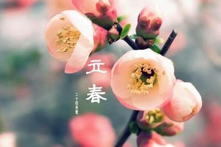 2024年正式换大运,换大运的时间点和换该年换岁运的时间点 不同吗...