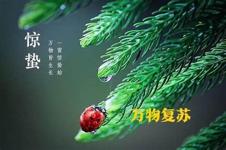 中国24节气应该按照阴历还是阳历算？分别是几月几日？