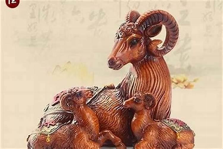 为什么属羊的人命不好