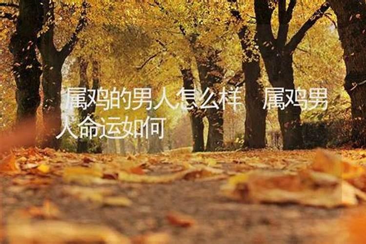 男,一九八一年九月初九卯时生运势
