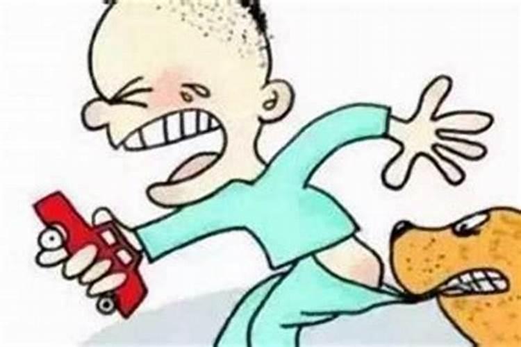 周公解梦梦见狗是什么预兆