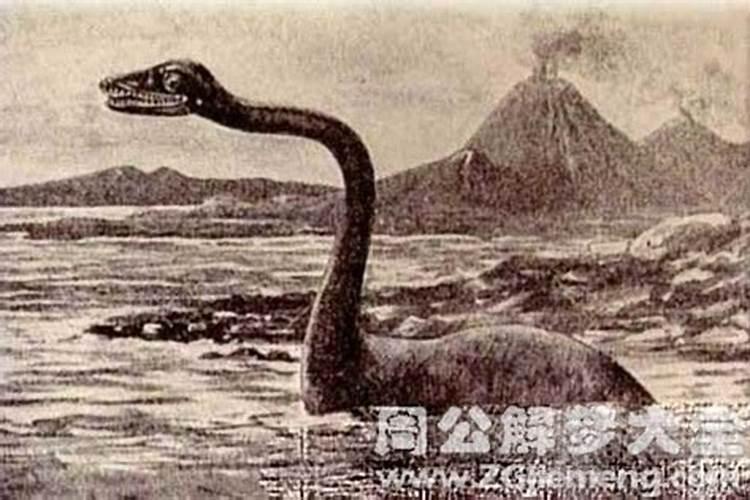 梦见舅舅和我说话