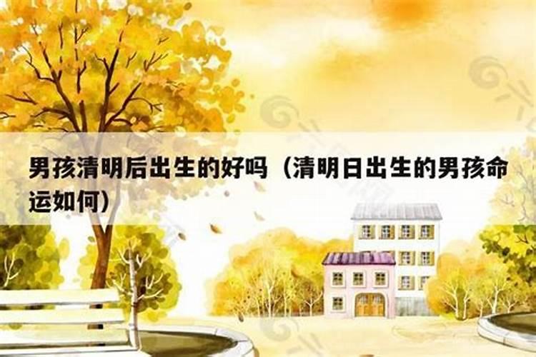 清明节出生的男孩命好不好