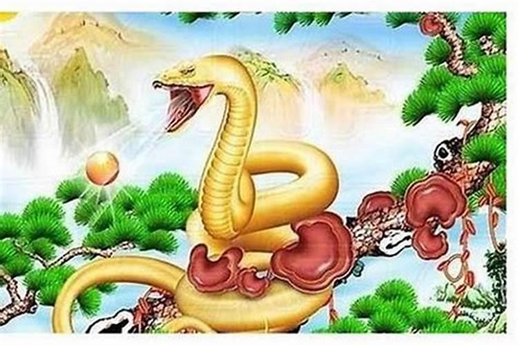 合姻缘:属虎的女人和属蛇男能结婚吗 有没有姻缘