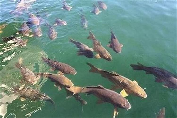 为什么湖北、湖南的春节要吃糍粑？