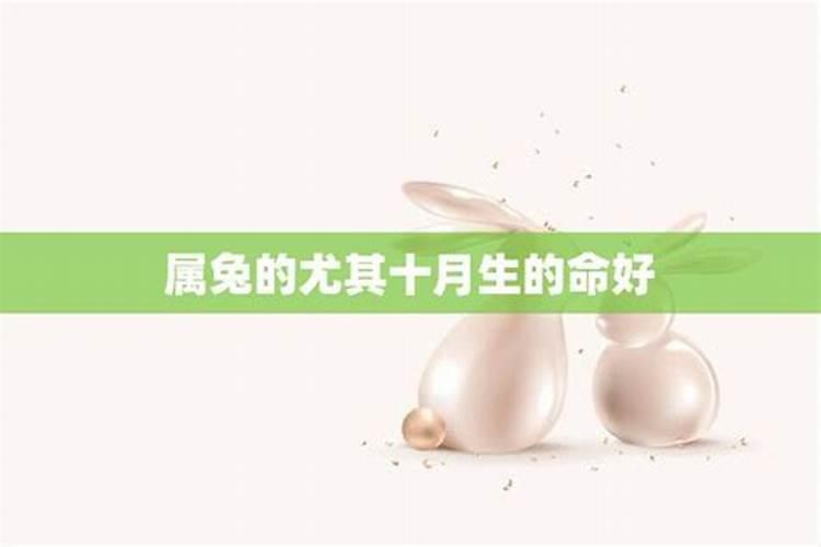 十月的兔子命运如何 十月份出生的兔子好不好