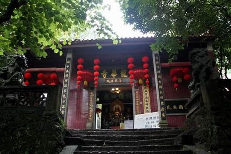 海南一男子用挖掘机挖出巨型山药,他的技术有多牛？