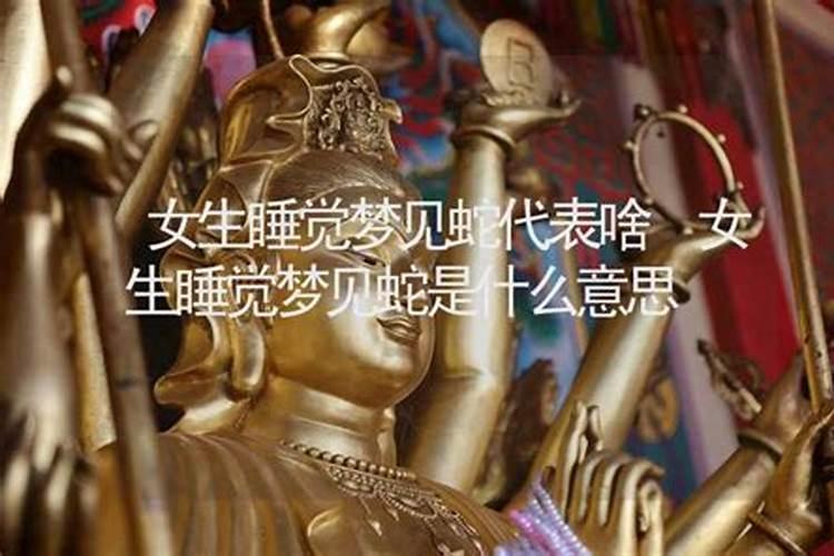 女人梦见蛇的七大预兆？