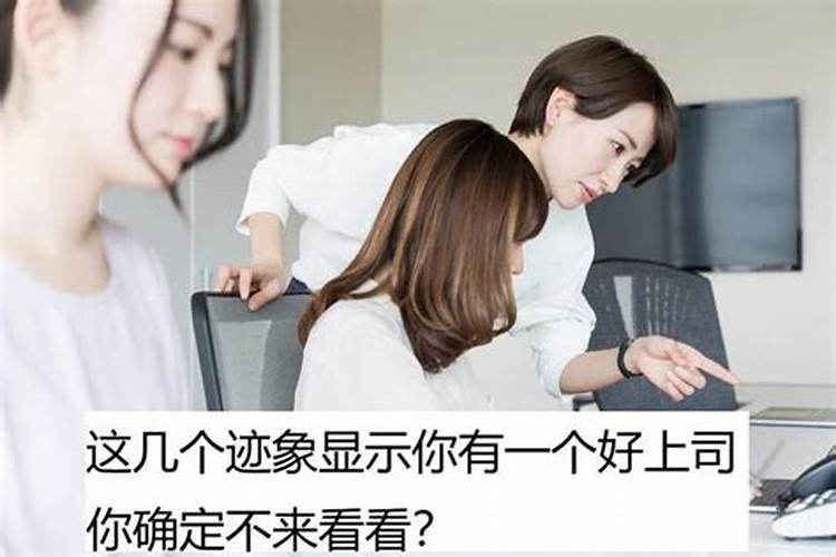 梦到以前上司预示什么