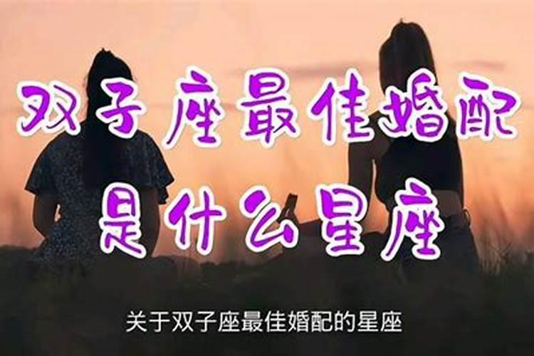 双子子座和什么星座最配