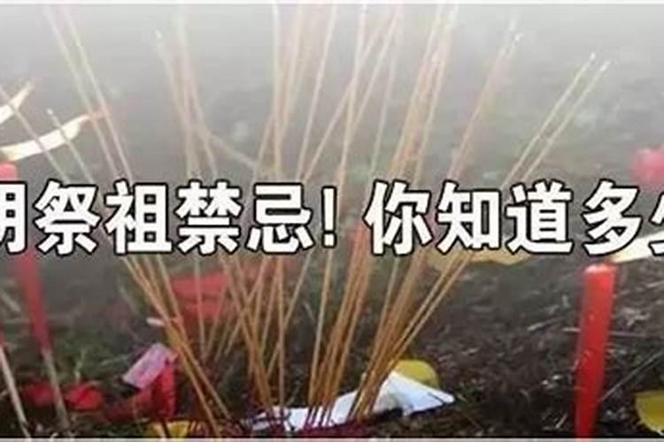 清明扫墓禁忌大全