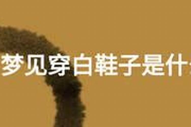 1987年属兔今年运势如何