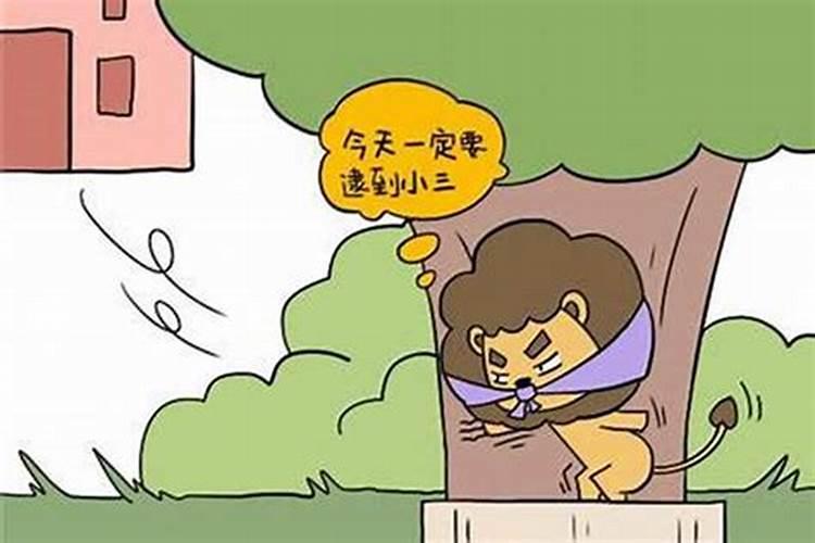狮子男暗恋你的征兆