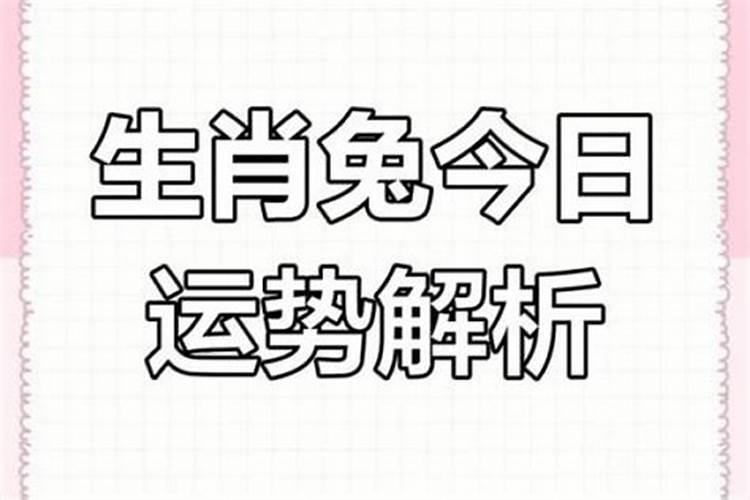 1987年属兔2025年的运势及运程如何
