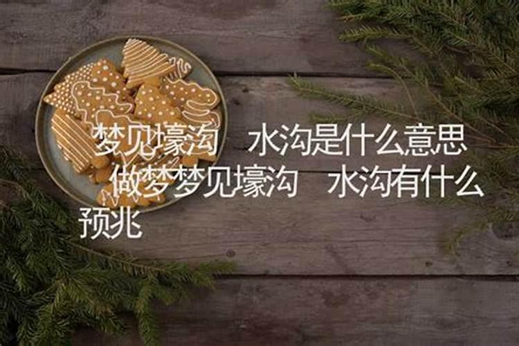 梦见龙游浅水的预兆