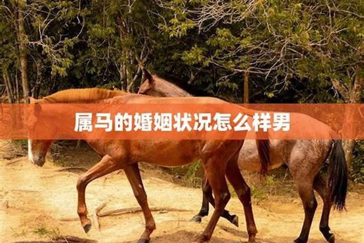 八字配对测试婚姻 八字合婚最准的方法？