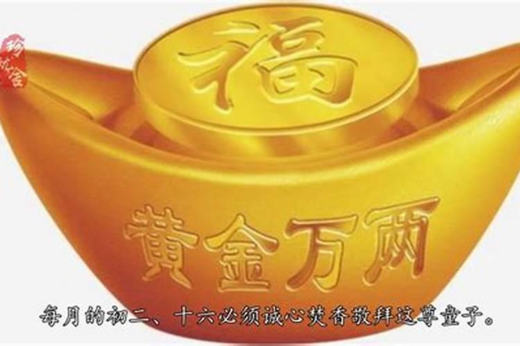 中山詹园的哪些游玩项目值得游客体验？