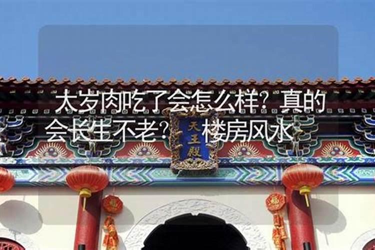 属蛇和属鸡的合不合财 属蛇和属鸡的合财吗