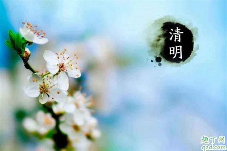 清明节2024年是几月几日 具体节气时间在几点几分