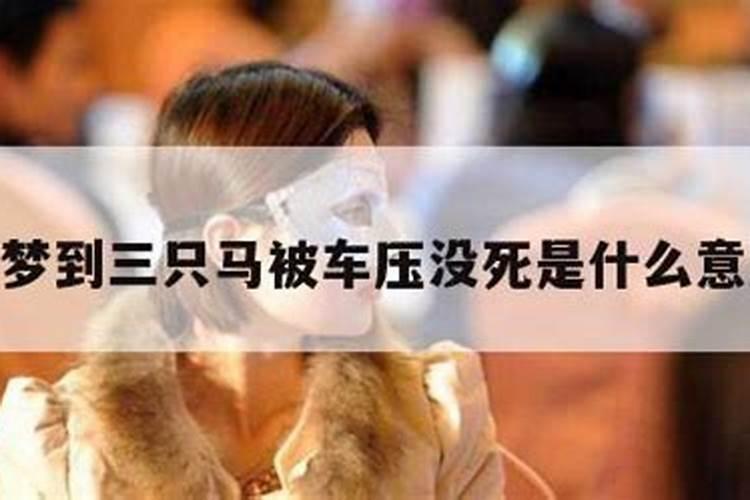 梦见马死了是什么意思？