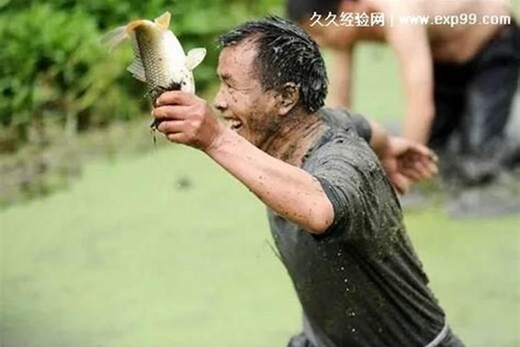 梦见手抓鱼要发财了