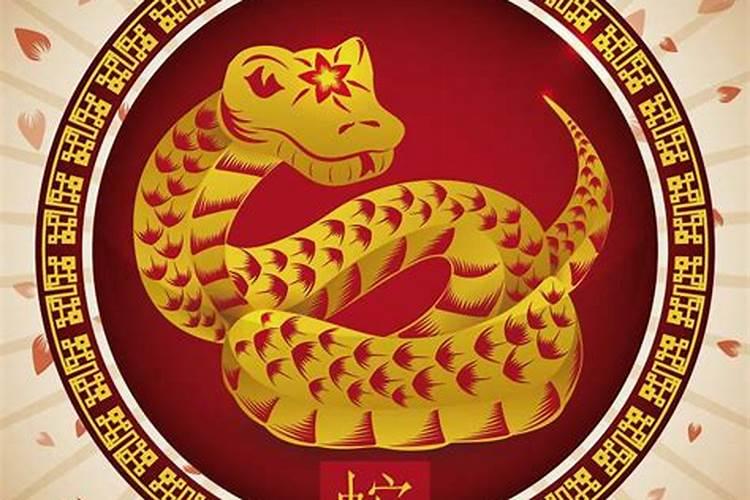 1989年属蛇男在2025年运势如何