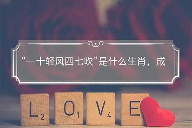 四七代表什么生肖数字？