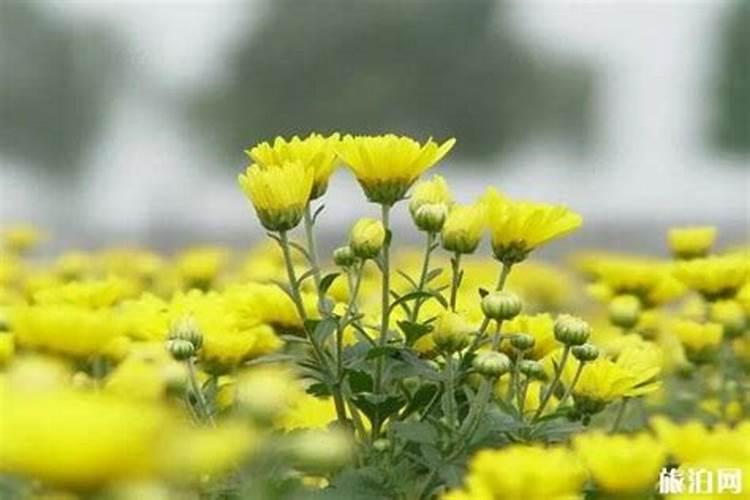 中元节烧纸什么时候烧最好 天彻底黑时最好