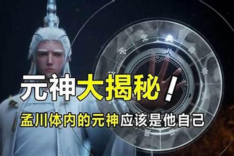 月属什么生肖每个月份的属相是什么
