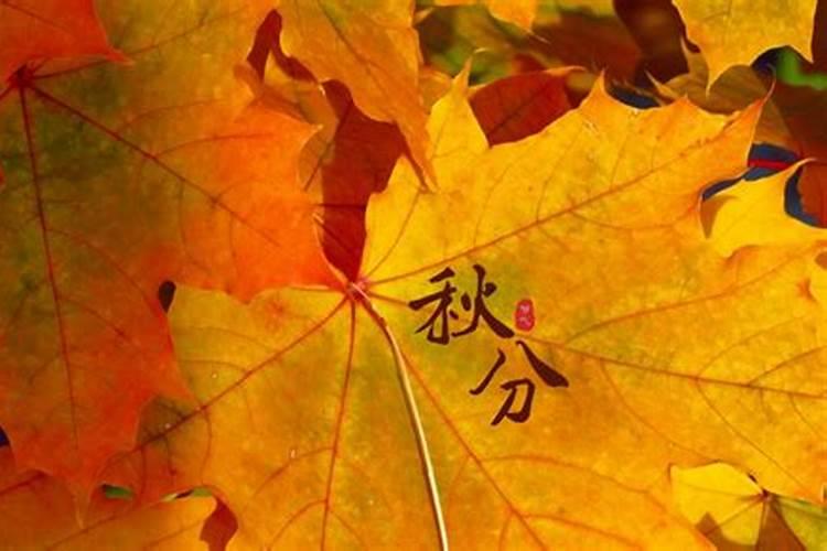 2024秋分时间几点几分 秋分节气具体时间