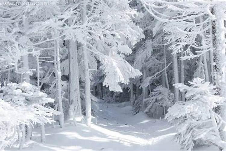 梦见在路上走着看见雪地