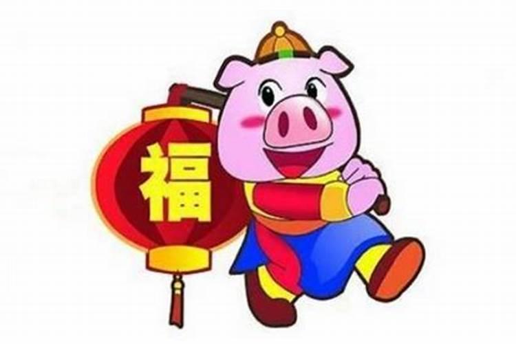 属猪本命年佩戴什么好,属猪人要知道!