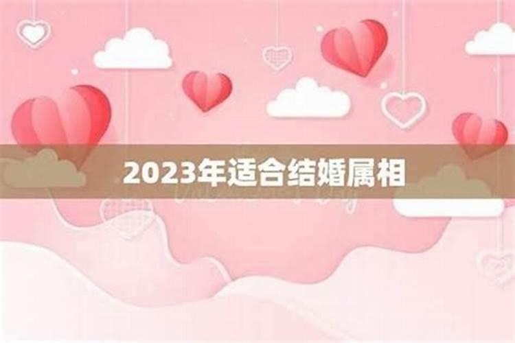 梦见两个女人接吻
