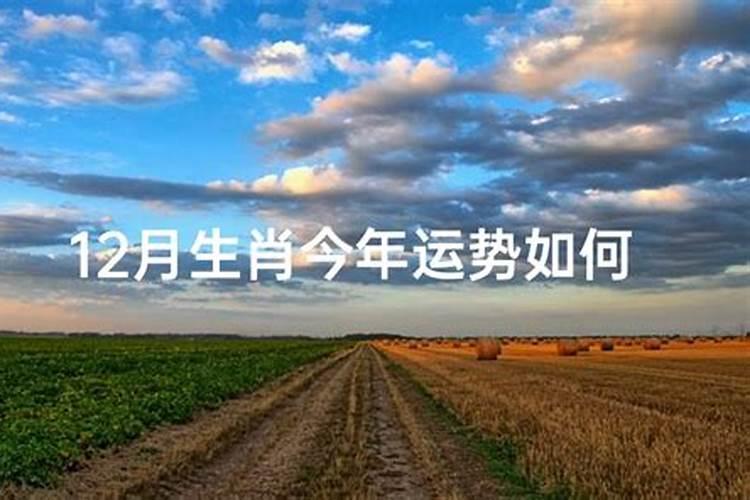 五路财神都叫什么名字