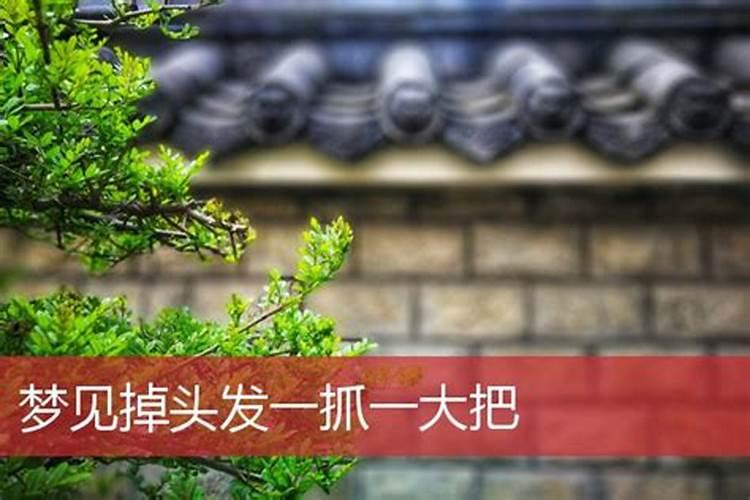 梦到掉了一大把头发预示着什么？