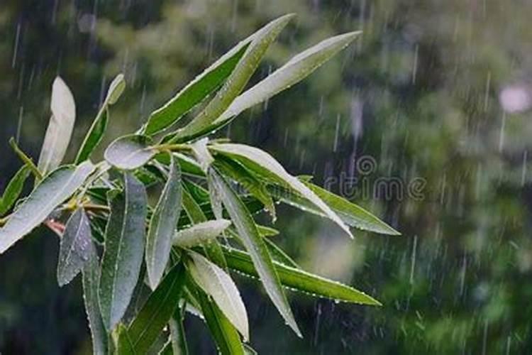 正月十五,民间有3怕,到底怕什么？古代谚语早预示!