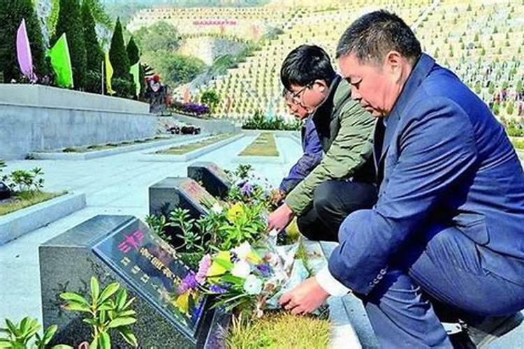 桃花姬什么材料
