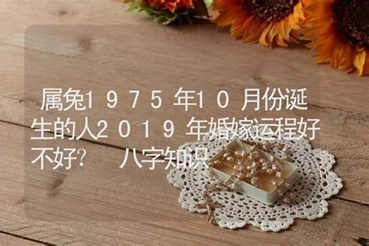 10月属猪怎么样