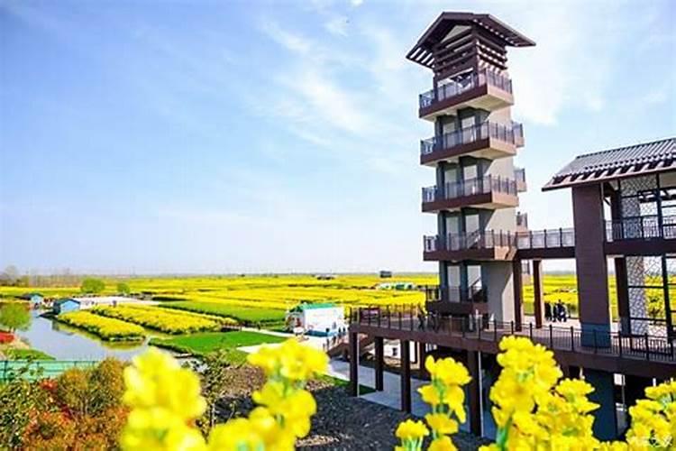 莆田冬至的民族文化 习俗是哪些