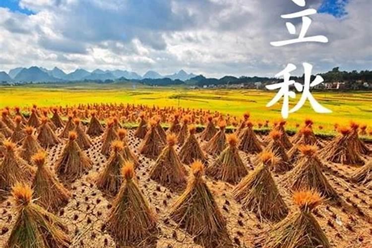 黄历中的天社是那一天