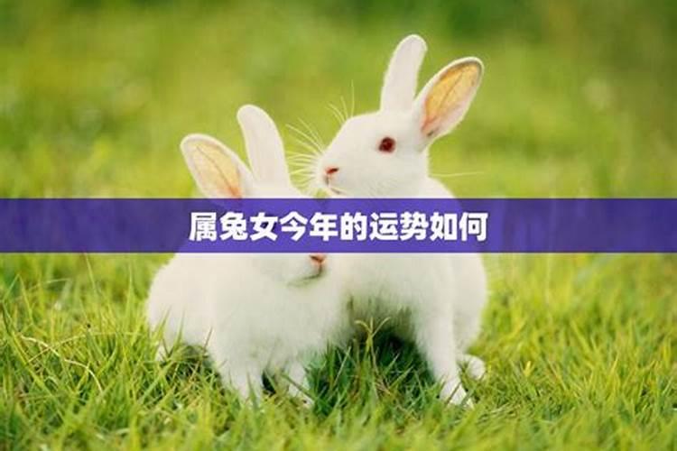 1987属兔人2025年全年运势运程