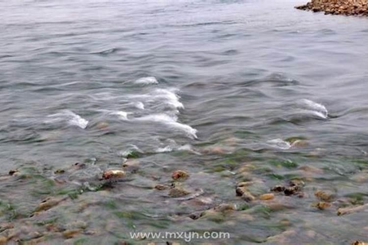 梦见河流的水很大很急的预兆