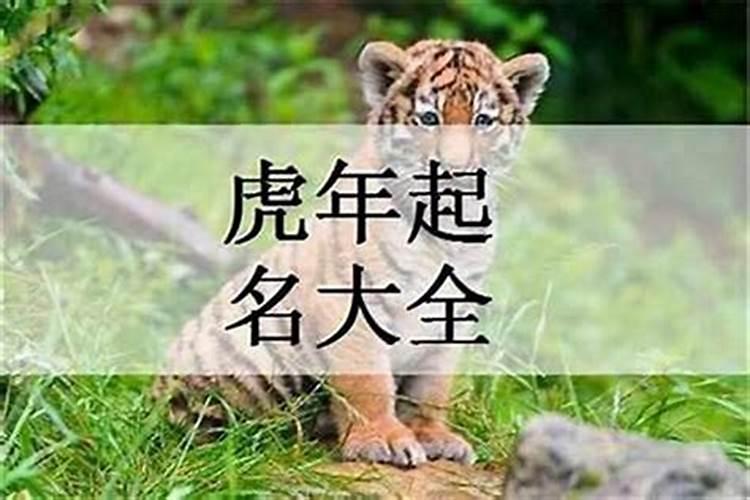 好听稀少的男孩名字虎宝宝