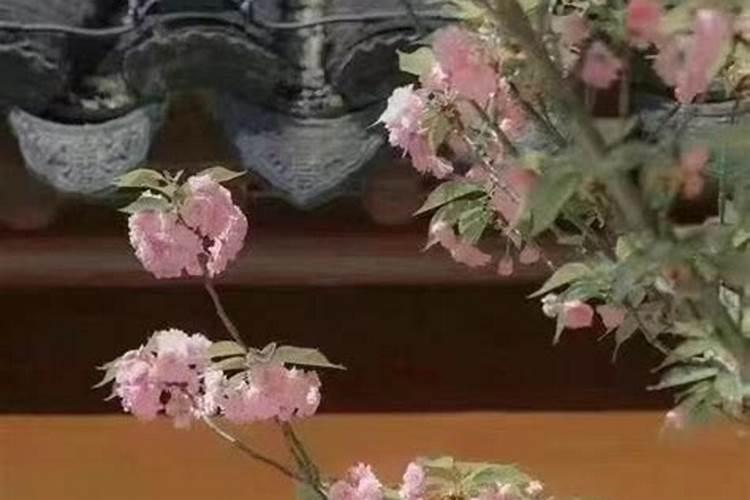 算命、婚姻、风水、起名等服务哪里最准？