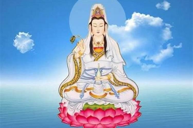 1975属兔女在2025年的每月运势